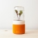 Groww. A minimalist greenhouse for overcrowded cities.