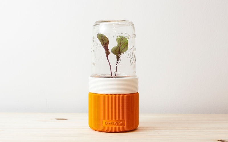 Groww. A minimalist greenhouse for overcrowded cities.